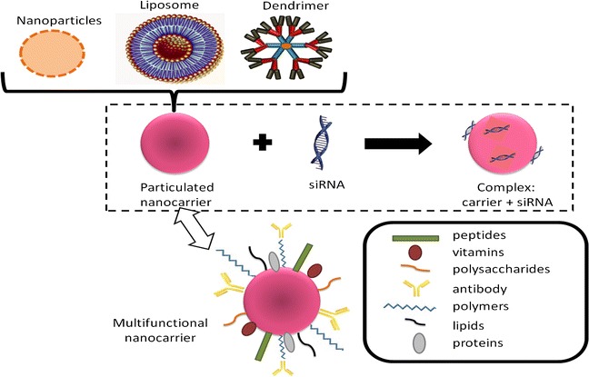 Nanomaterials for siRNA delivery. 