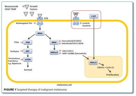 Targeted therapy of metastatic melanoma