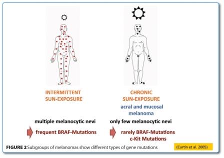 Subgroups of melanomas show different types of gene mutations