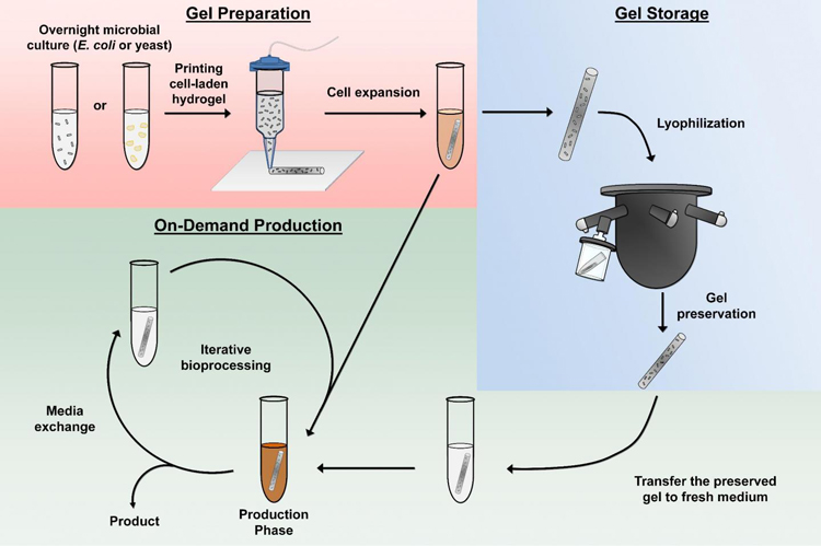 Hydrogel production process