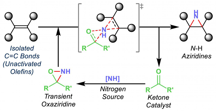 Producing aziridines