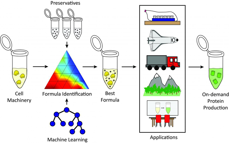 Cell-free biomanufacturing