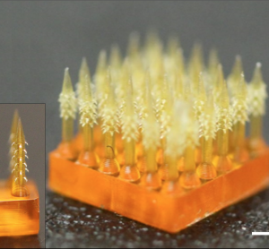 magnified image of the 4D printed microneedles with barbs