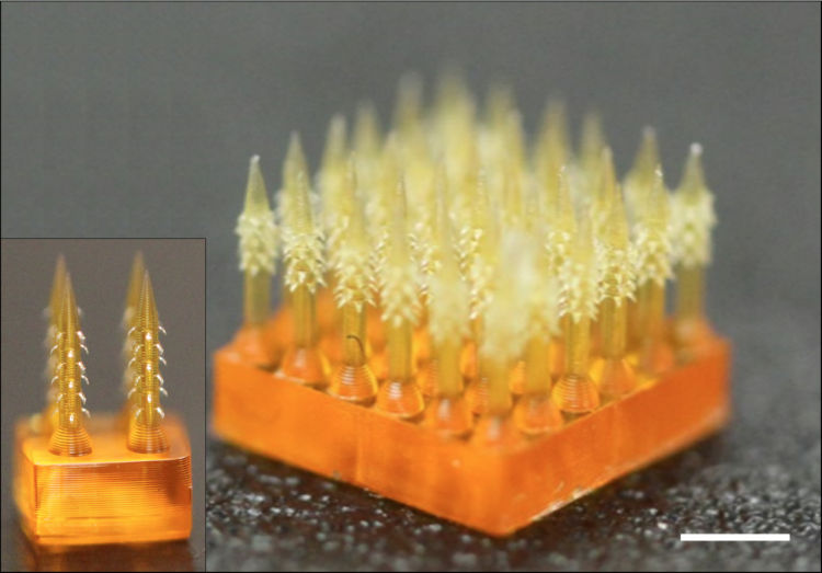magnified image of the 4D printed microneedles with barbs