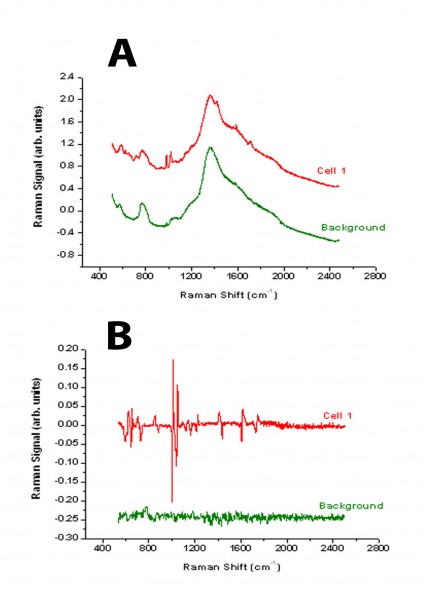 Figure 2 Comparison between the spectra derived from a bladder tumour cell using either standard Raman spectroscopy (A) or modulated Raman spectroscopy (B)