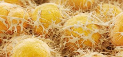 Study identifies key contamination source during ATMP manufacture