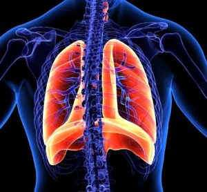 Trial-first for Roche lung cancer ALK inhibitor for ALK-positive NSCLC