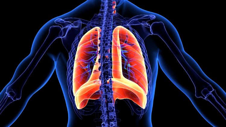 Trial-first for Roche lung cancer ALK inhibitor for ALK-positive NSCLC