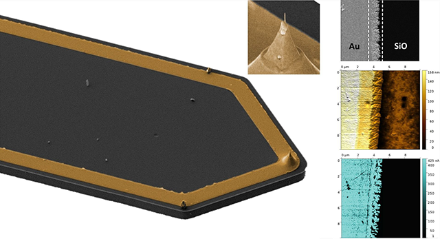 AFSEM™ offers a solution for conductive AFM in SEM with self-sensing cantilevers