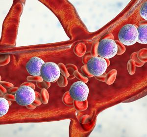 3D illustration of the longitudinal cross section of a blood vessel with numerous lymphocytes and red blood cells in it - idea of lymphocytic leukaemia