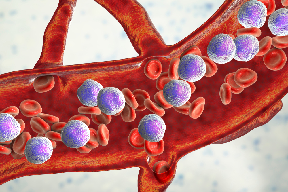 3D illustration of the longitudinal cross section of a blood vessel with numerous lymphocytes and red blood cells in it - idea of lymphocytic leukaemia