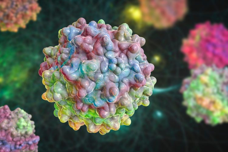 Three dimensional concept of Adeno associated viruses