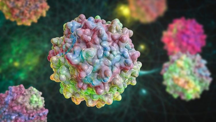 Three dimensional concept of Adeno associated viruses