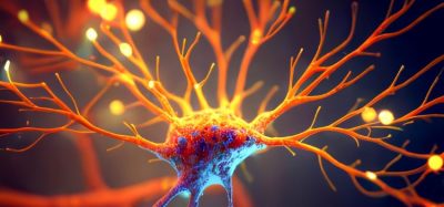 New data suggests novel mAb donanemabcould delay progression of early Alzheimer's