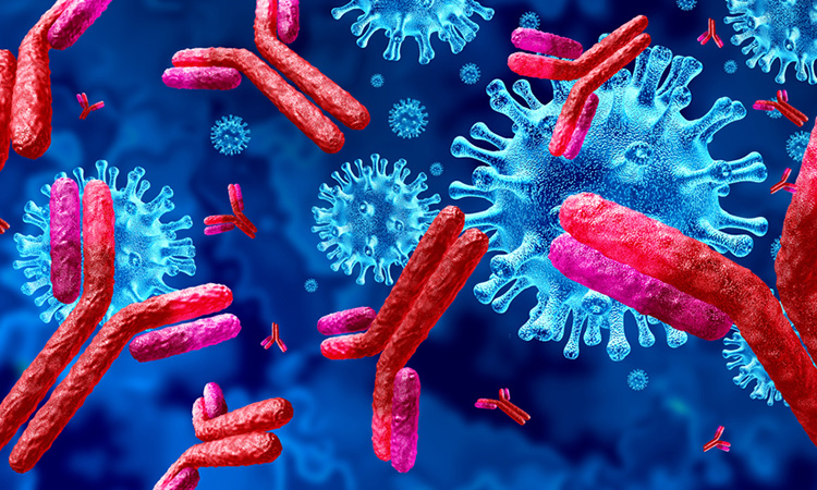 COVID-19 antibodies