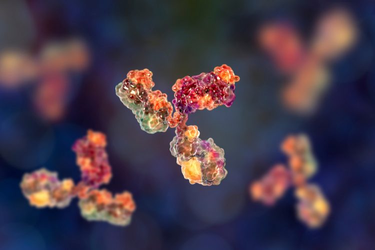 3D rendering of antibody taking part in immune defense.