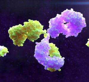 purple and yellow antibodies on a black background