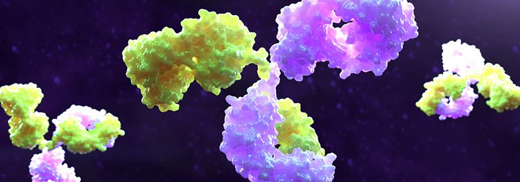 purple and yellow antibodies on a black background