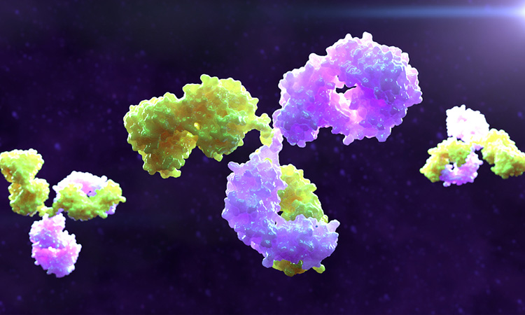 purple and yellow antibodies on a black background