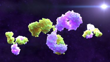 3D rendering of bispecific monoclonal antibody molecules