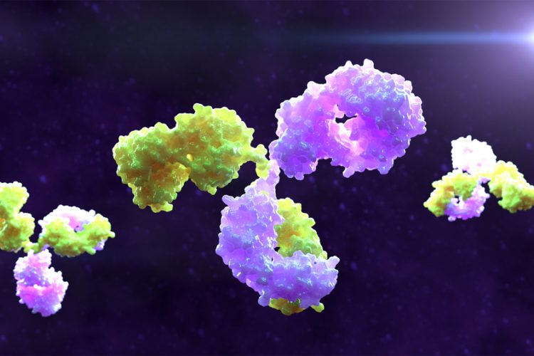 3D rendering of bispecific monoclonal antibody molecules