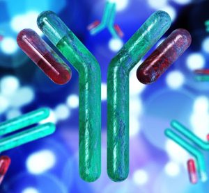 COVID-19 antibody