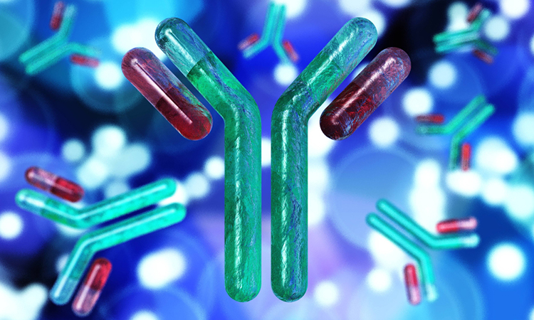 COVID-19 antibody