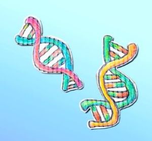Breakthrough gene therapy gives hope for Artemis-SCID