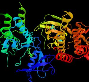 BRAF-gene-melanoma