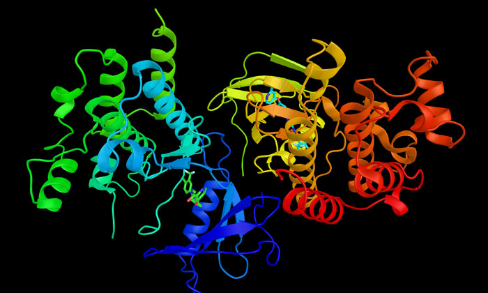 BRAF-gene-melanoma