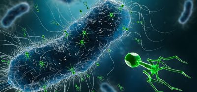phage therapy image