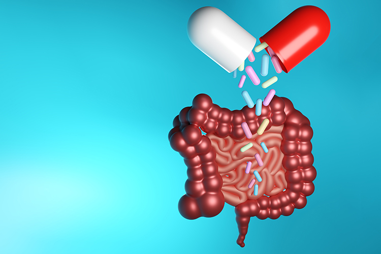 colourful bacteria pouring from an open capsule onto a cartoon small and large intestine - idea of delivering live biotherapeutic products