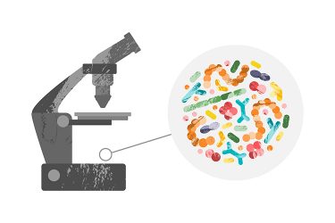 cartoon of a microscope and microbes - idea of LBPs research