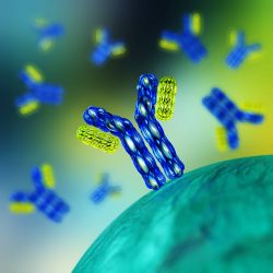 blue and green antibodies
