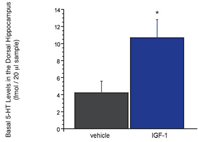 Beyer-figure2