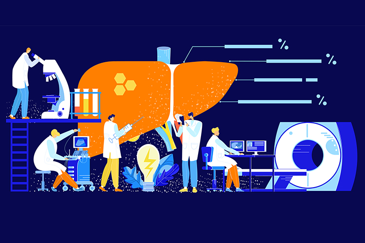 Idea of liver imaging/research - cartoon with large liver, MRI scanner and scientists performing experiments