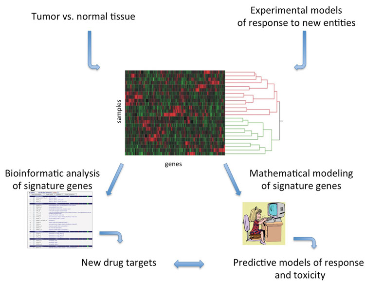 Figure 1: Drug discovery and development applications for differential gene expression signatures using experimental model systems or patient tumour samples. Expression signatures can be annotated to identify druggable targets or predictive models of response can be mathematically derived. Gene expression data can, in some cases, be utilised for both purposes from the same sample material