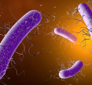 Purple Clostridioides difficile bacteria (long thin tubes with thin waving projections) on an orange gradient background