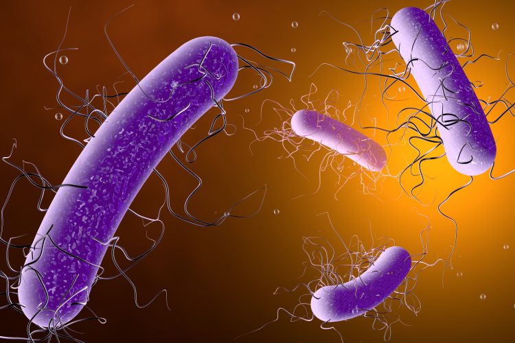 Purple Clostridioides difficile bacteria (long thin tubes with thin waving projections) on an orange gradient background