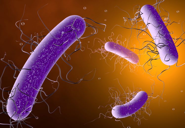 Purple Clostridioides difficile bacteria (long thin tubes with thin waving projections) on an orange gradient background