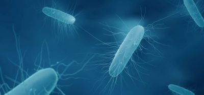 Will novel antibiotic Ibezapolstat become front-line for C. difficile?