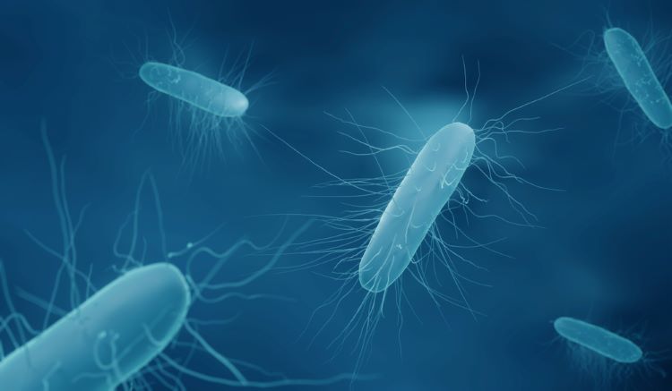 Will novel antibiotic Ibezapolstat become front-line for C. difficile?