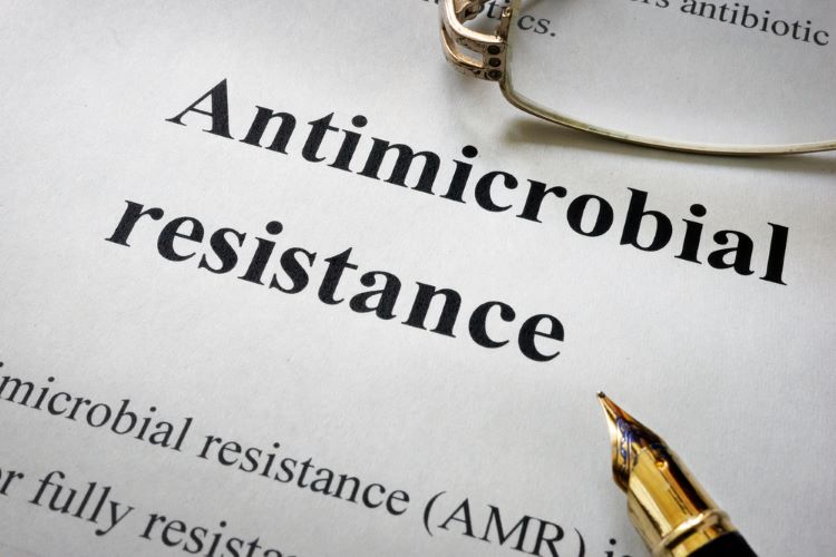 Global research consortium CAMO-Net to help address antimicrobial resistance