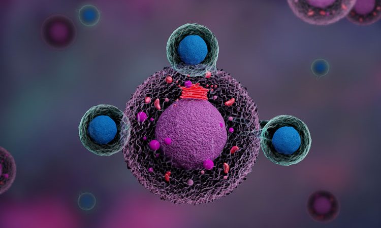 metastasis in malignant mesothelioma