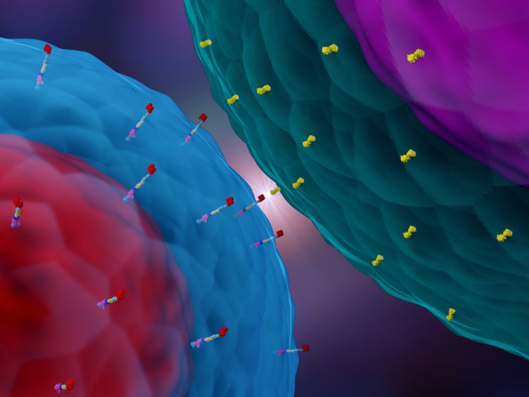 First CAR T-cell therapy recommended on NHS - NICE final draft guidance