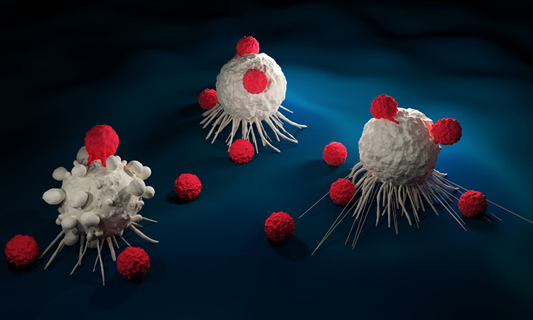Terapia cu celule T CAR