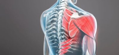 First successful CAR-T treatment for muscle inflammation