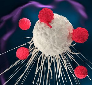 Red CAR T cells attacking a central larger white 'cancer' cell on a dark turquoise background - idea of CAR T-cell therapy
