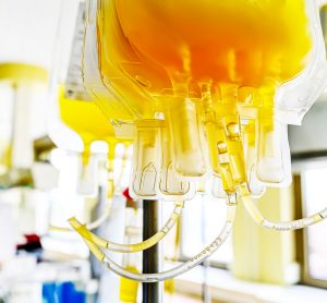 Close up image of yellow blood plasma in plastic transfusion bags - idea of COVID-19 convalescent plasma therapy