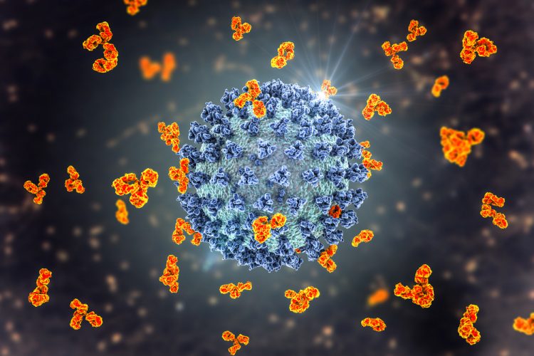 Orange antibodies surrounding a glowing blue and grey SARS-CoV-2 particle - idea of antibodies neutralising SARS-CoV-2 and thus COVID-19 symptoms